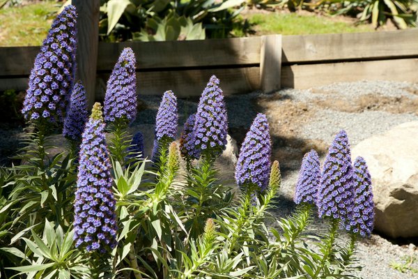 Découvrez les avantages du panier à linge moderne et pratique